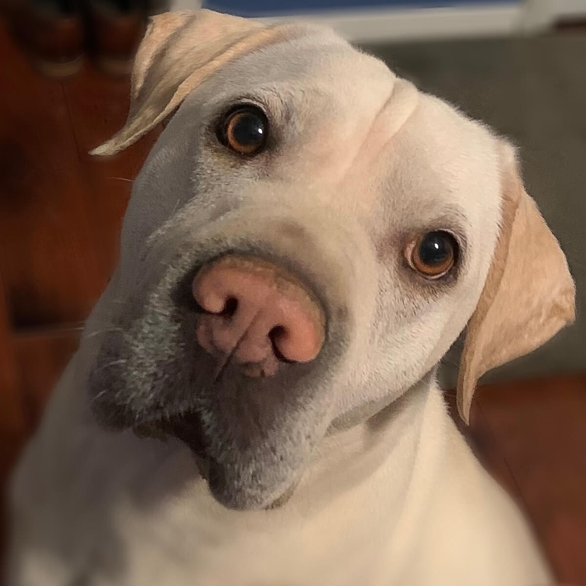 Remembering Baxter