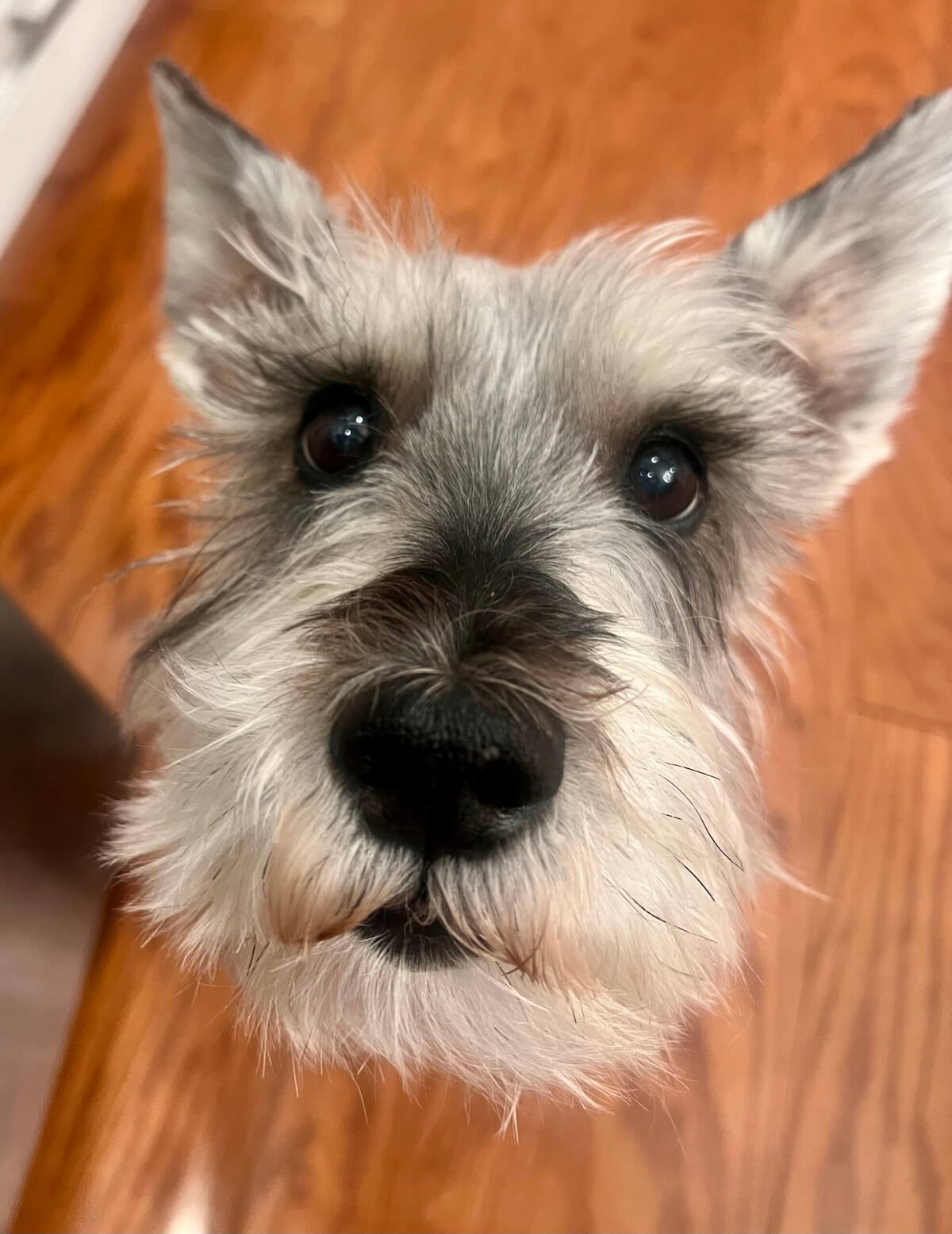 Remembering Charlie