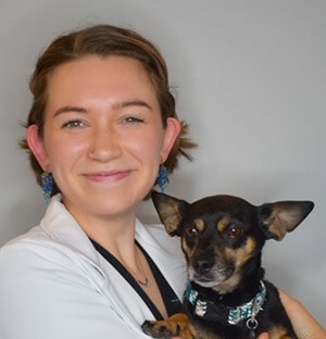 Pet Acupuncture