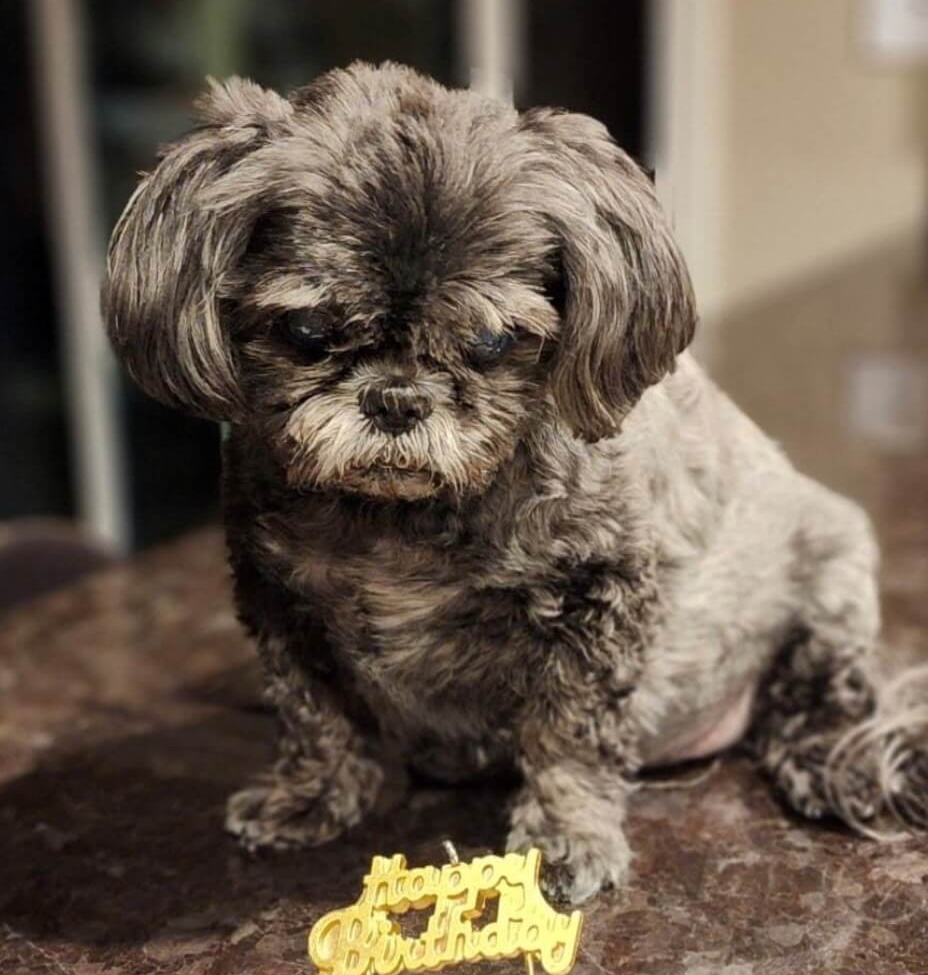 Remembering Ming