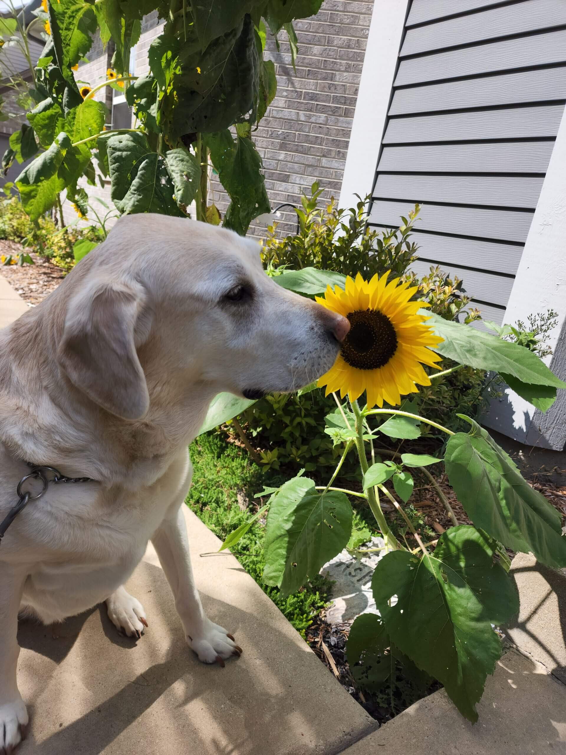 Remembering Morgan