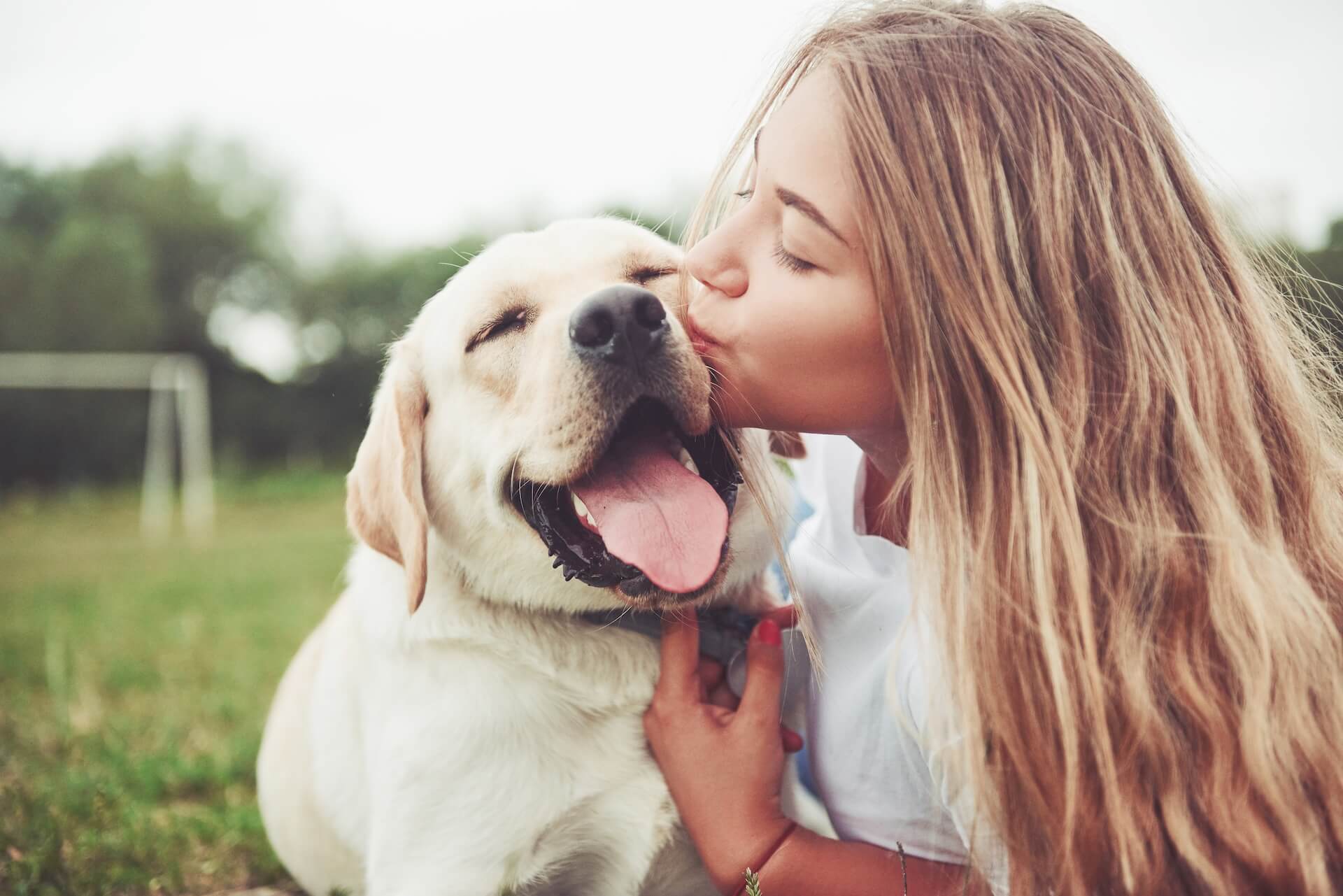 Scottsdale Veterinary Clinic