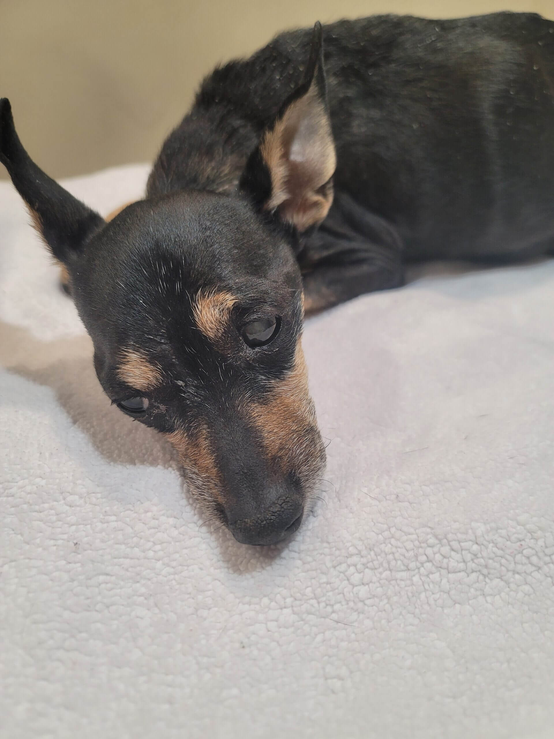 Remembering TINY