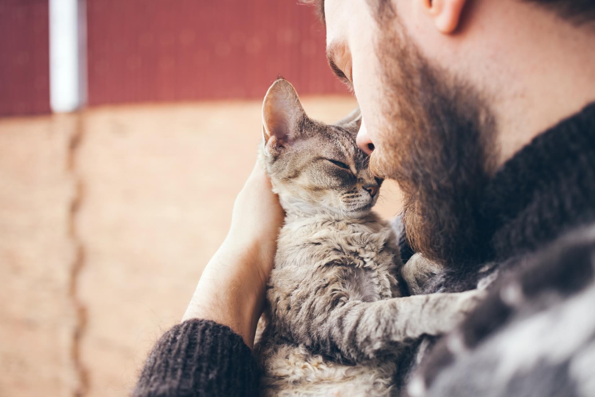 Veterinary Hospital in Scottsdale