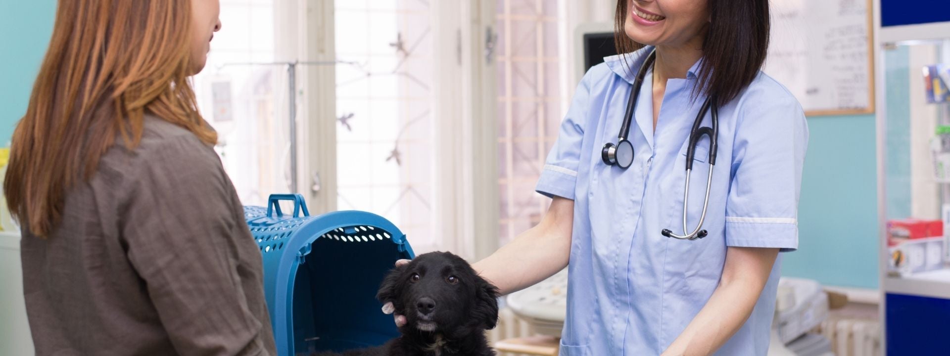 A female veterinarian in blue scrubs is examining a black puppy and talking to it's red headed owner