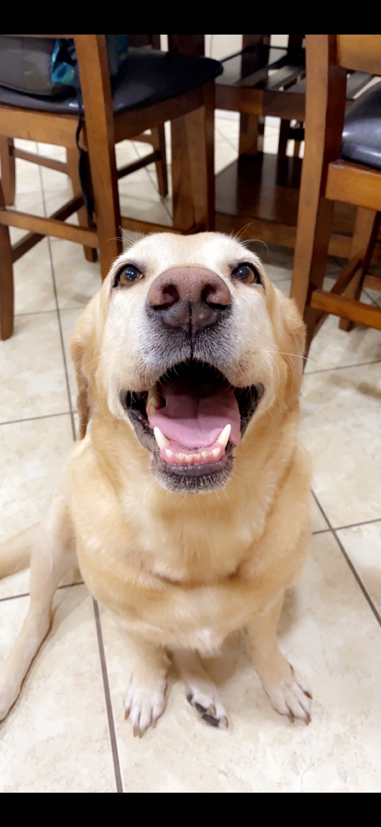 Remembering Goldie