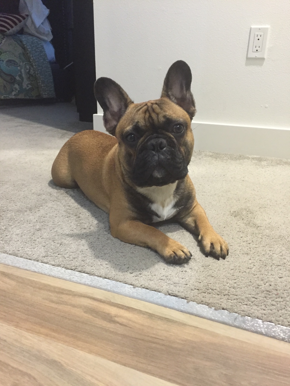 Remembering Otto