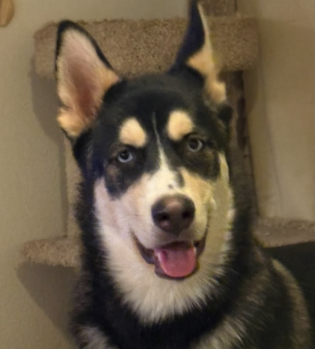 Remembering Adak