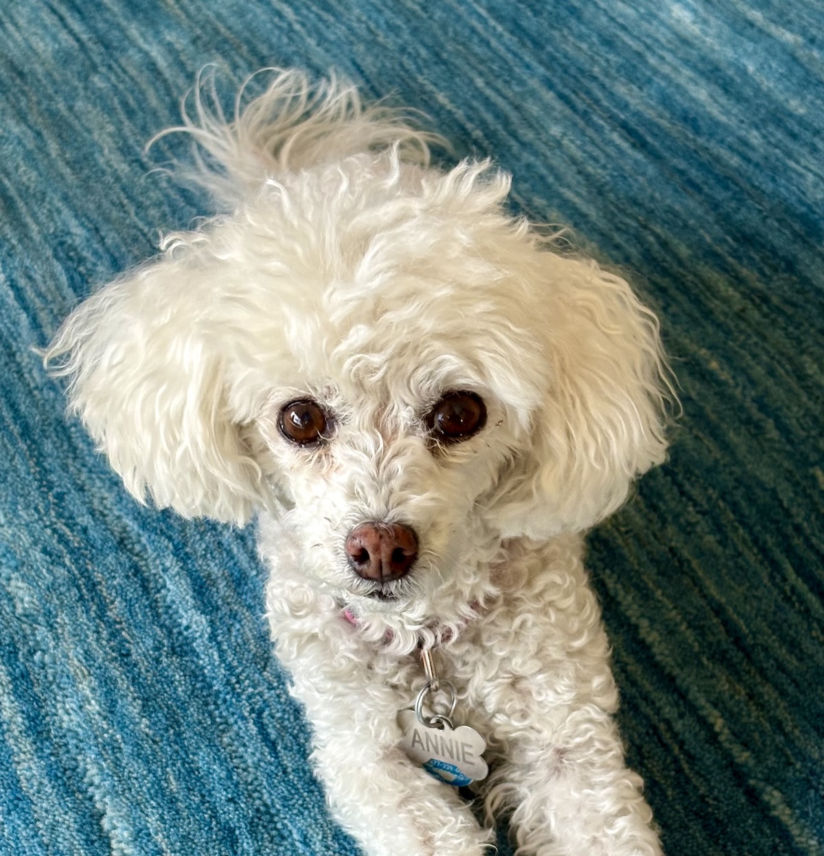 Remembering Annie