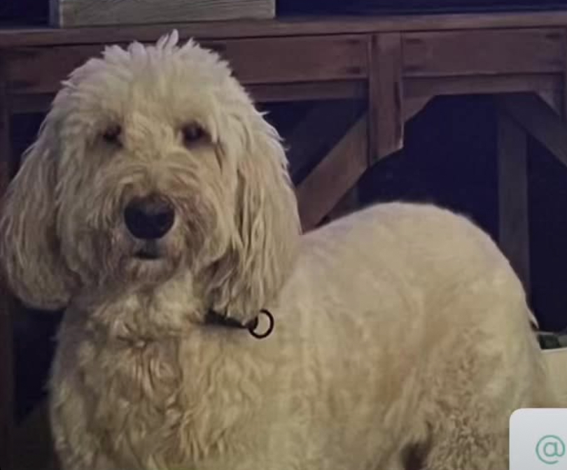 Remembering Milo