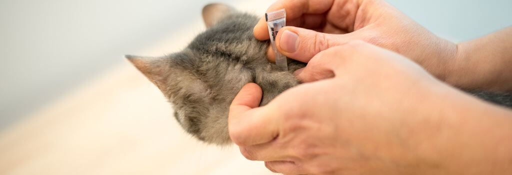 Cat topical