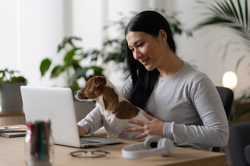 Pet Insurance in Scottsdale