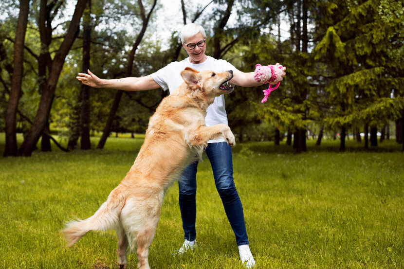Pet Jumping in Scottsdale