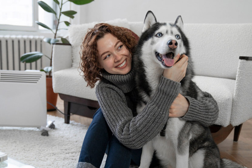 Pet Strangers in Scottsdale
