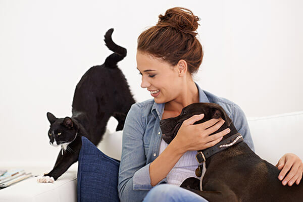 Advantages Of Spaying Your Female Pet