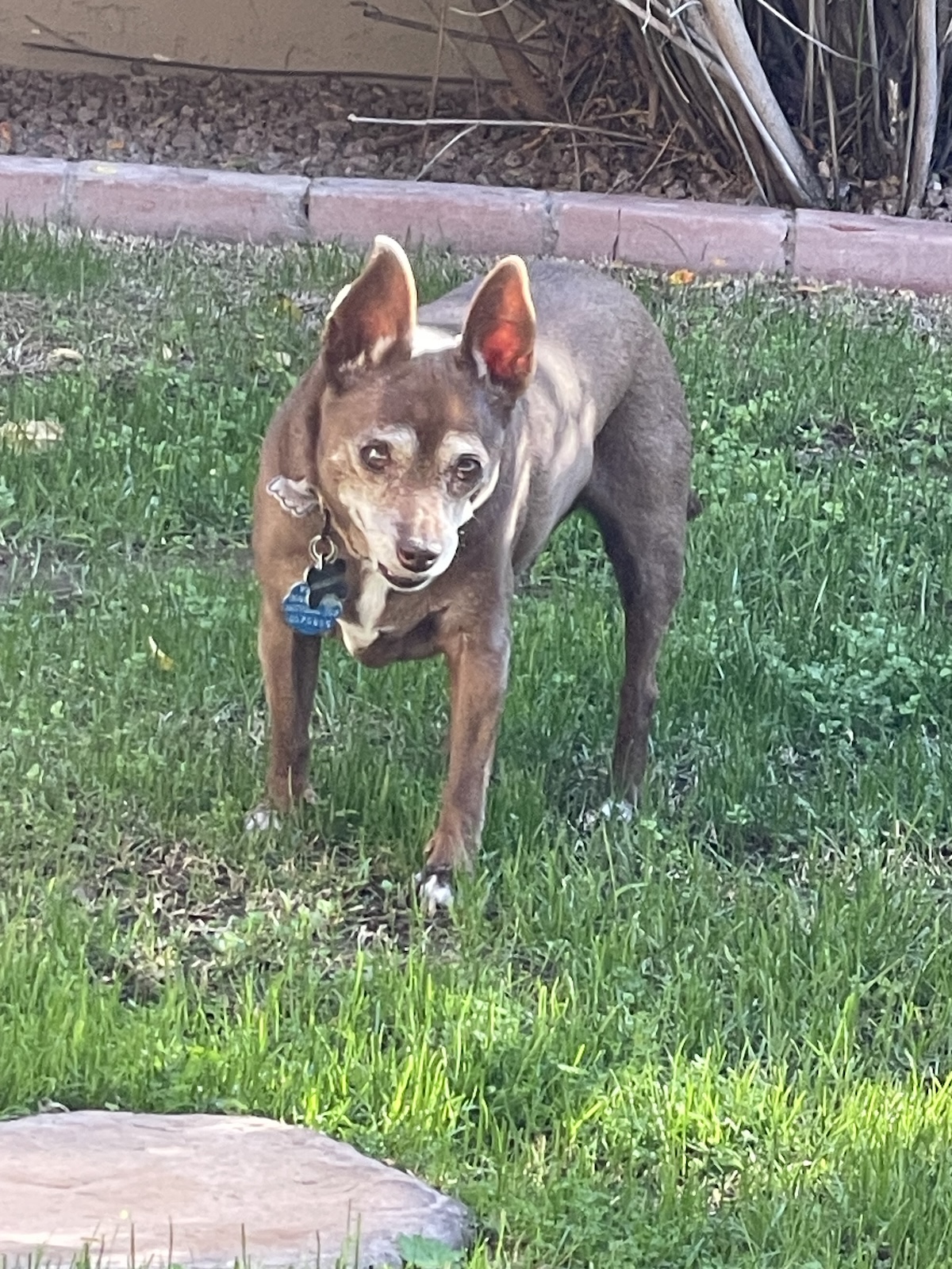 Riley