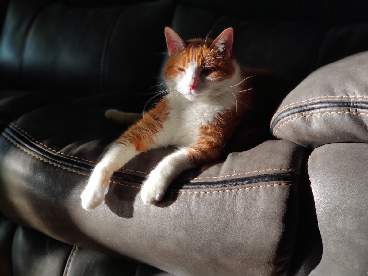 Rusty