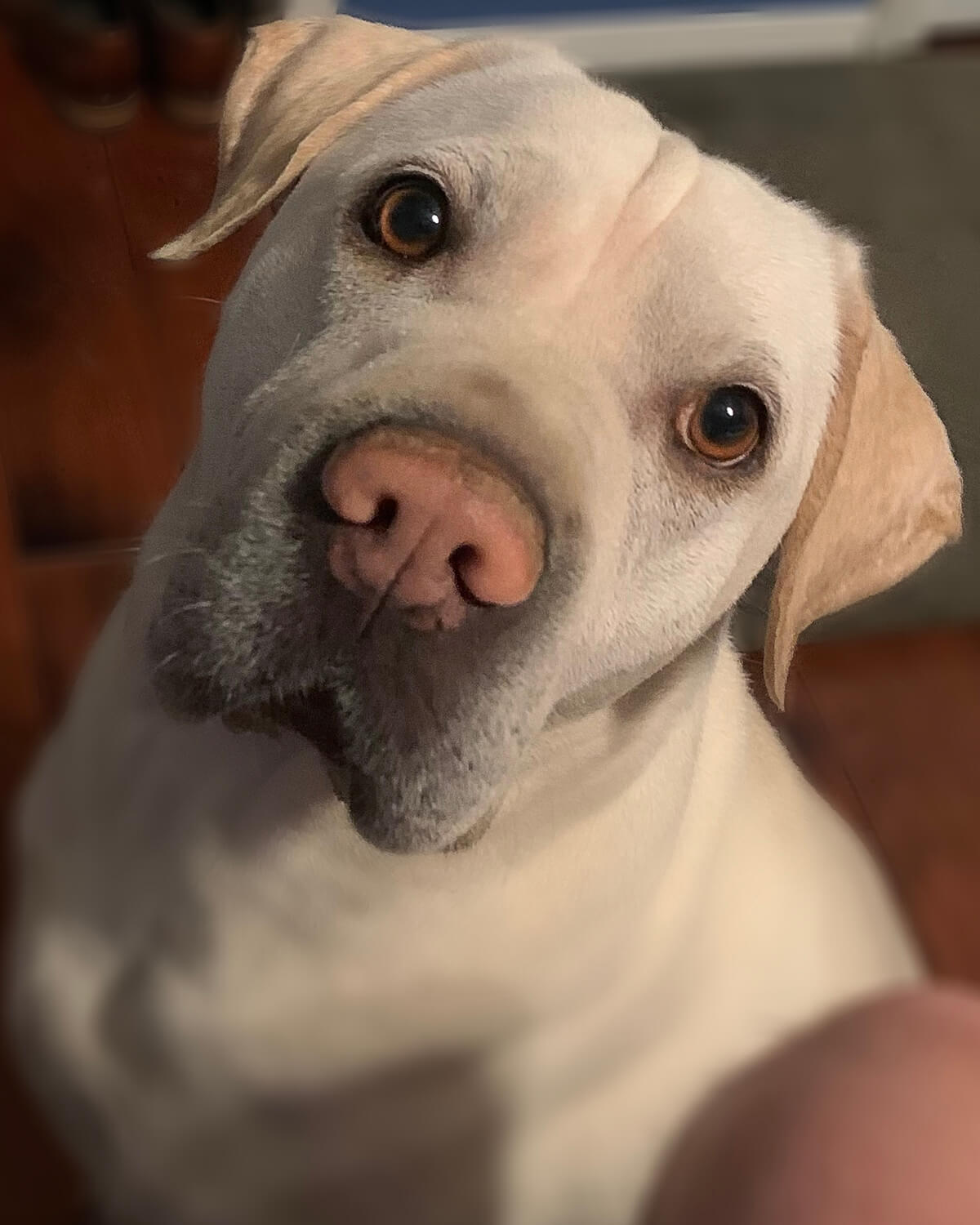 Baxter