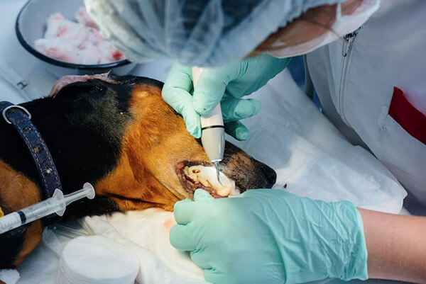 Dental Sedation in Scottsdale