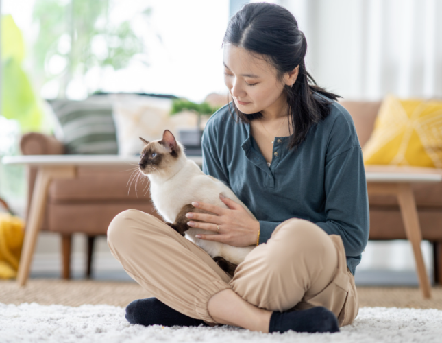 10 Common Household Items That Are Surprisingly Toxic to Pets