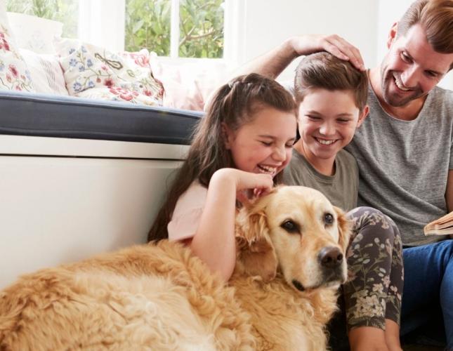 Spring Cleaning With Pets in Mind: A Safer, Healthier Home for Your Furry Family