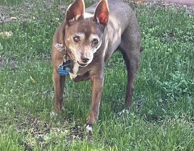 Remembering Riley