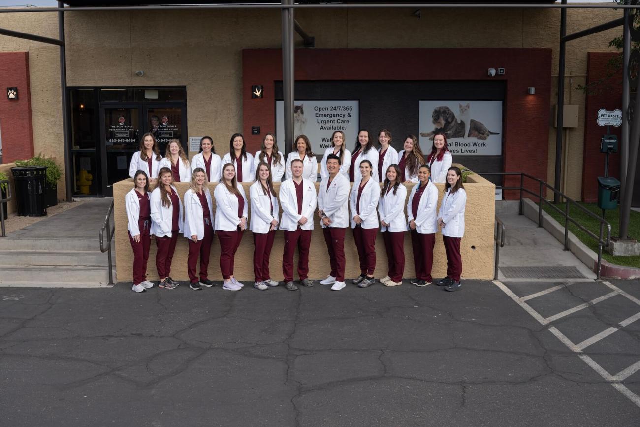 Scottsdale Veterinarian