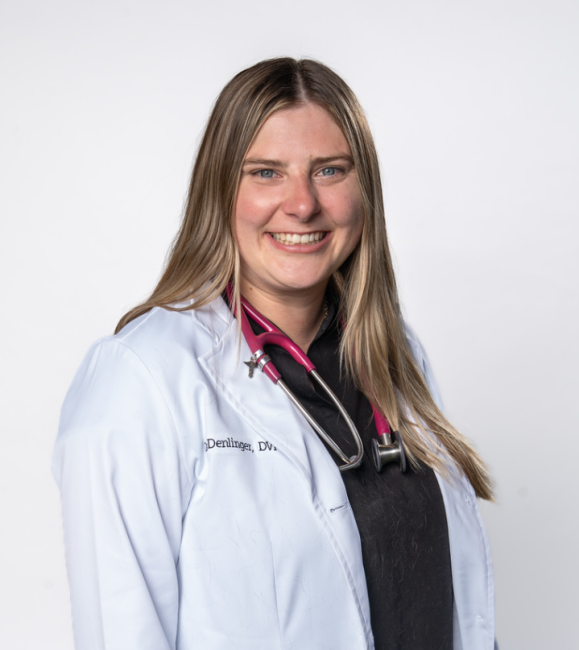 Dr. Ashley Denlinger 