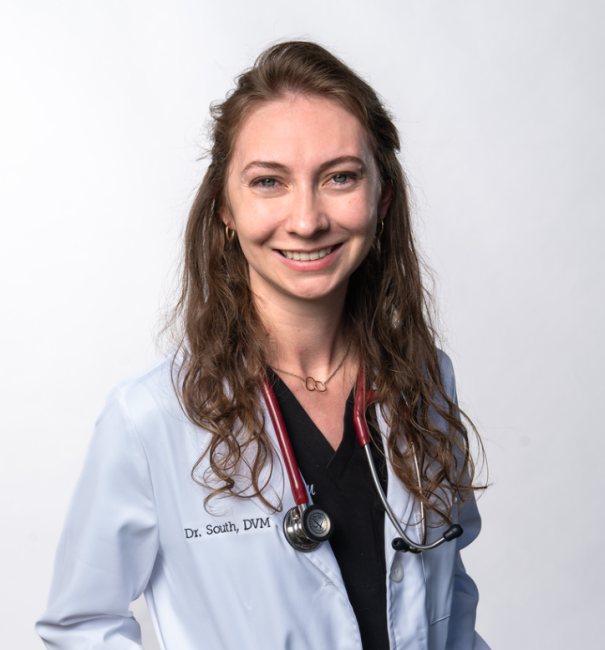 Dr. South Headshot 