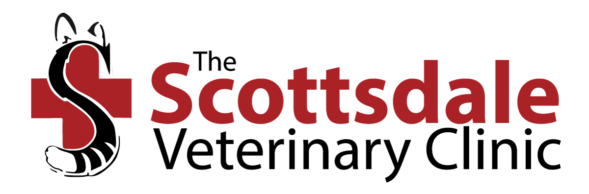 The Scottsdale Veterinary Clinic